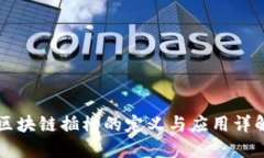 区块链插槽的定义与应用详解